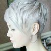 Feathered Pixie Hairstyles (Photo 7 of 15)