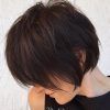 Long Feathered Espresso Brown Pixie Hairstyles (Photo 1 of 25)