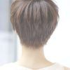 Back View Of Pixie Hairstyles (Photo 11 of 15)