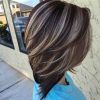 Dark Brown Hair Hairstyles With Silver Blonde Highlights (Photo 4 of 25)