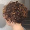 Tapered Brown Pixie Hairstyles With Ginger Curls (Photo 10 of 25)