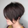 Angled Pixie Bob Hairstyles With Layers (Photo 6 of 25)