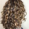 Brown Curly Hairstyles With Highlights (Photo 6 of 25)