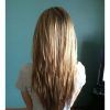 Long Hairstyles V Cut (Photo 11 of 25)