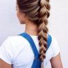 Braided Hairstyles For School (Photo 3 of 15)