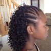 Asymmetrical Braids With Curly Pony (Photo 8 of 15)