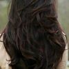 Reddish Brown Hairstyles With Long V-Cut Layers (Photo 2 of 25)
