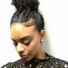 Mixed Braid Updo For Black Hair (Photo 1 of 15)
