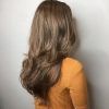Mid-Back Brown U-Shaped Haircuts With Swoopy Layers (Photo 4 of 25)