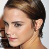 Swept-Back Long Pixie Hairstyles (Photo 24 of 25)