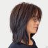 25 the Best Haircuts with Medium Length Layers