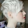 Choppy Pixie Hairstyles With Tapered Nape (Photo 8 of 25)