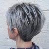 Shaggy Grey Hairstyles (Photo 11 of 15)