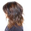 Shoulder Length Choppy Hairstyles (Photo 20 of 25)