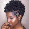 Curly Black Short Hairstyles (Photo 24 of 25)