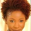 Braided Natural Hairstyles For Short Hair (Photo 6 of 15)