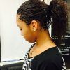 Cornrow Ombre Ponytail Micro Braid Hairstyles (Photo 4 of 25)