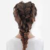 Side Fishtail Braids For A Low Twist (Photo 16 of 25)