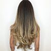 Long Dark Hairstyles With Blonde Contour Balayage (Photo 2 of 25)