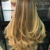 Soft Feathery Texture Hairstyles For Long Hair (Photo 1 of 25)