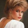 80S Hair Updo Hairstyles (Photo 15 of 15)