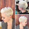 Sculptured Long Top Short Sides Pixie Hairstyles (Photo 6 of 25)