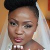 Wedding Hairstyles For Natural African American Hair (Photo 12 of 15)