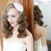 Wedding Hairstyles For Long Hair With Birdcage Veil (Photo 7 of 15)
