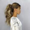 Fabulous Formal Ponytail Hairstyles (Photo 4 of 25)