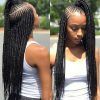 Micro Braided Hairstyles (Photo 2 of 25)