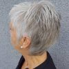 Airy Gray Pixie Hairstyles With Lots Of Layers (Photo 2 of 25)