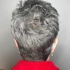 Tapered Gray Pixie Hairstyles With Textured Crown (Photo 1 of 25)