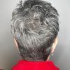 Gray Pixie Haircuts With Messy Crown (Photo 6 of 25)