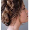 Twisted Rope Braid Updo Hairstyles (Photo 20 of 25)