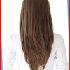 Reddish Brown Hairstyles With Long V-Cut Layers (Photo 24 of 25)