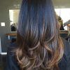 Reddish Brown Hairstyles With Long V-Cut Layers (Photo 13 of 25)