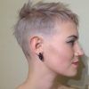 Long Pixie Hairstyles With Skin Fade (Photo 11 of 25)