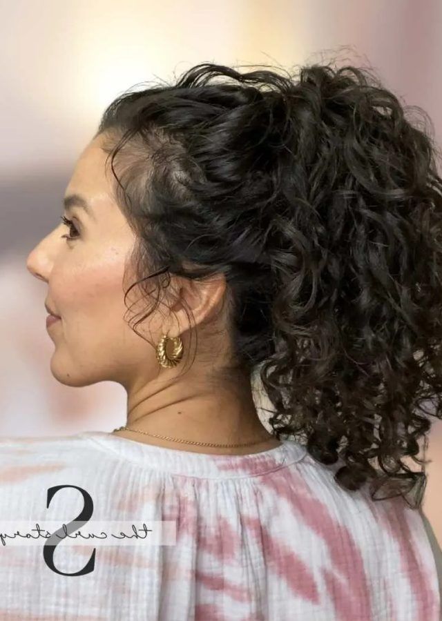 The 25 Best Collection of Chic Ponytail Updo for Long Curly Hair