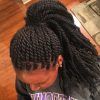 Entwining Braided Ponytail Hairstyles (Photo 12 of 25)