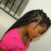 Micro Braids In Side Fishtail Braid (Photo 1 of 25)