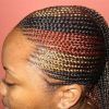 Braided Hairstyles For Afro Hair (Photo 5 of 15)
