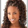 Braided Hairstyles For Afro Hair (Photo 13 of 15)
