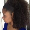 Naturally Curly Ponytail Hairstyles (Photo 20 of 25)