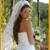 Wedding Hairstyles With Veil And Tiara (Photo 5 of 15)