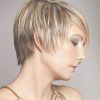 One Side Short One Side Medium Hairstyles (Photo 3 of 25)