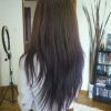 Long Haircuts From The Back (Photo 11 of 25)