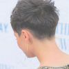 Back Views Of Pixie Hairstyles (Photo 3 of 15)