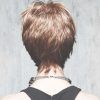 Back Views Of Pixie Hairstyles (Photo 12 of 15)