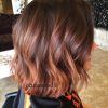 Inverted Brunette Bob Hairstyles With Feathered Highlights (Photo 6 of 25)