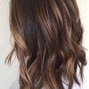 Curly Dark Brown Bob Hairstyles With Partial Balayage (Photo 11 of 25)
